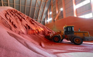 Урожай под защитой: как в России развивается производство агрохимии ЭКОНОМИКА